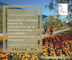 Lee más sobre el artículo Eventos, banquetes y actividades de integración